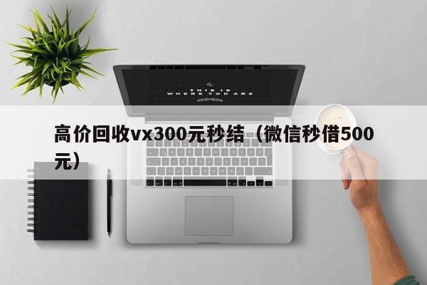 高价回收vx300元秒结（微信秒借500元）